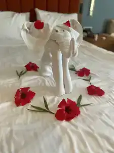 Sundia Exclusive By Liberty Fethiye - 11