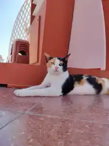 Hurghada Coral Beach - 85