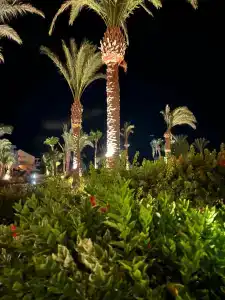 Movenpick Resort & Spa El Gouna - 99