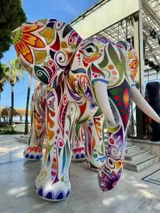 Dobedan World Palace ''Ex Brand Alva Donna World Palace '' - 36