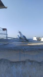 Istanbul Sydney - 31