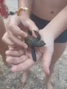 Miarosa Konakli Garden - 24