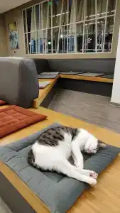 Poseidon - Adult Only - 83