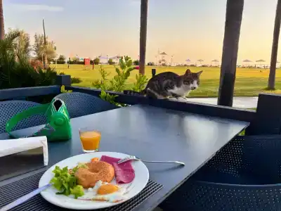 Baia Kemer Club - 71