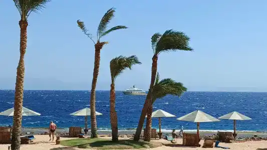 Tropitel Dahab Oasis - 11