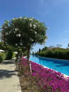 Titanic Mardan Palace - 25