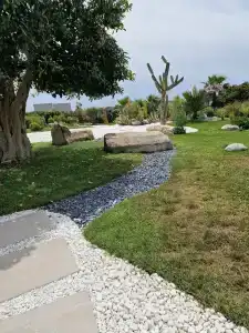 Paloma Finesse Side - 60