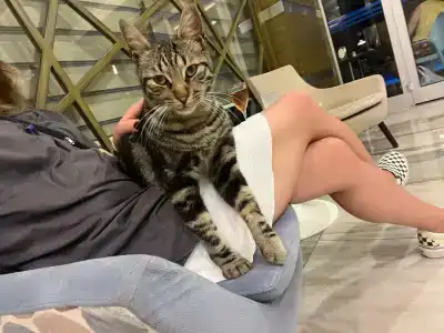 Kleopatra Ramira - All Inclusive - 80