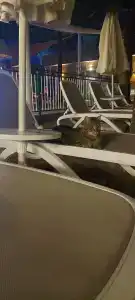 Annabella Park - All Inclusive - 26