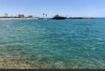 Pickalbatros Aqua Vista Resort - Hurghada - 40