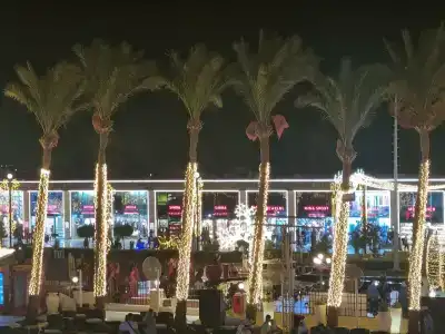 Royal Savoy Sharm El Sheikh - 17