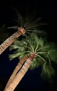 Movenpick Resort El Quseir - 25