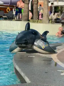 Papillon Belvil Holiday Village - 23