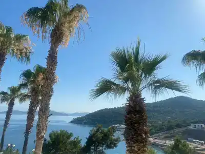 Duja Bodrum - 91