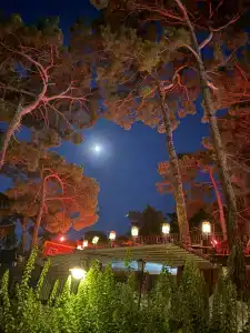 Grand Yazici Club Turban Termal - 8