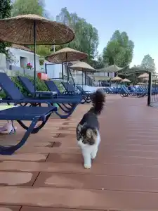 Labranda TMT Bodrum - 18