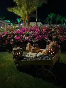 Club Reef Resort & Spa - 13