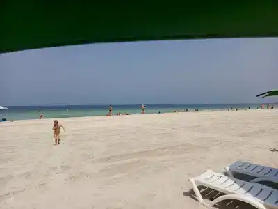 Lavender Sharjah - 34