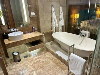 Andaz Capital Gate Abu Dhabi, By Hyatt - 99