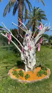 Lucida Beach - All Inclusive - 69