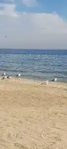 Champion Holiday Village - 39