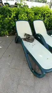 Limak Lara Deluxe & Resort Antalya - 32