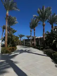 Jaz Casa Del Mar Beach - 72