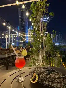 Radisson Blu, Dubai Canal View - 8