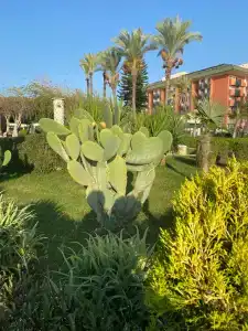 AQI Pegasos Club - 9