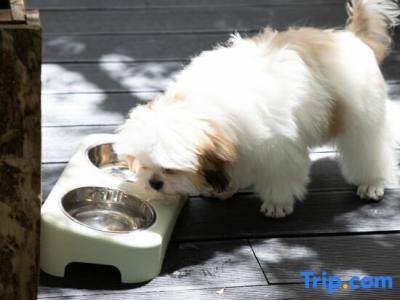 The Leela Resort & Spa Pattaya - 50