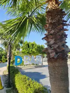 Dosinia Luxury Resort-Ultra All Inclusive - 33