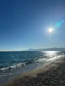 Lara Garden Butik - 67