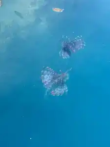 Sunrise Crystal Bay Resort -Grand Select - 18