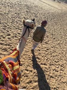 Charmillion Gardens Aquapark - 74