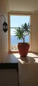 Sheraton Sharm, Resort, Villas & Spa - 58