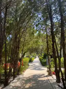 Club Nena - All Inclusive - 83