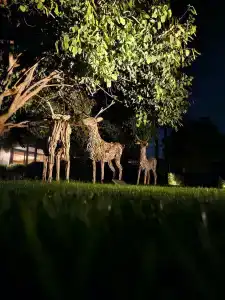 Barut Hemera - Ultra All Inclusive - 99