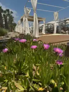 Akka Antedon - Premium Ultra All Inclusive - 59