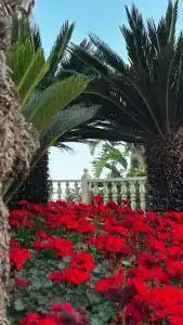 Royal Holiday Palace - 59