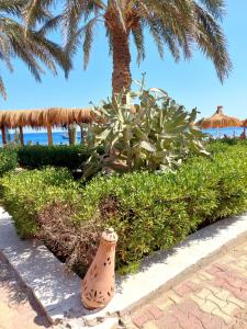 Lotus Bay Resort - 99