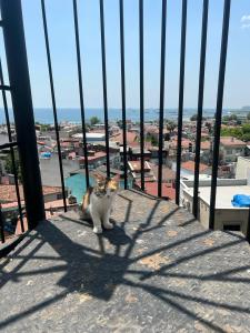 Art City Istanbul - 14