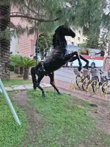 Selectum Family Resort Side - 65