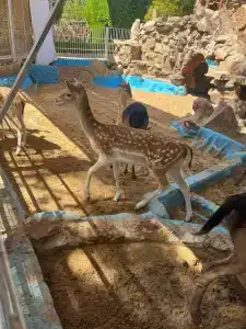 Mirage Bay Resort & Aqua Park - 85