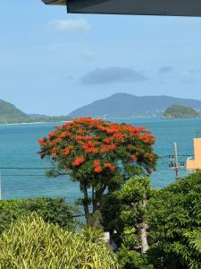 Kantary Bay Phuket - SHA Plus Certified - 41
