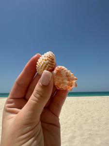 Saadiyat Rotana Resort and Villas - 37