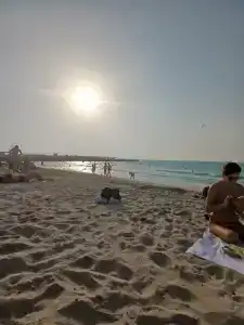 Rove Healthcare City - Bur Dubai - 7