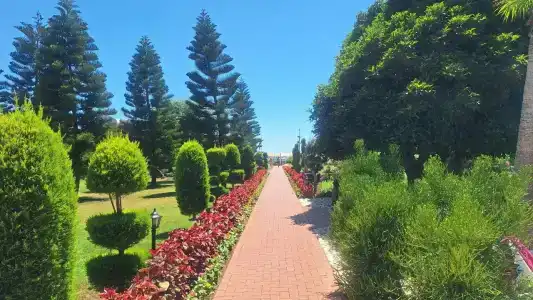 TUI Magic Life Belek - 19