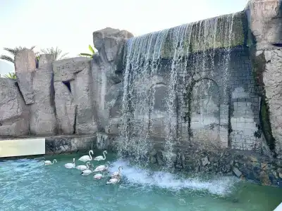 Dobedan World Palace ''Ex Brand Alva Donna World Palace '' - 5