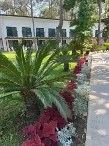 Baia Kemer Club - 66