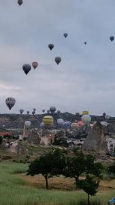 Goreme Valley Cave House - 75